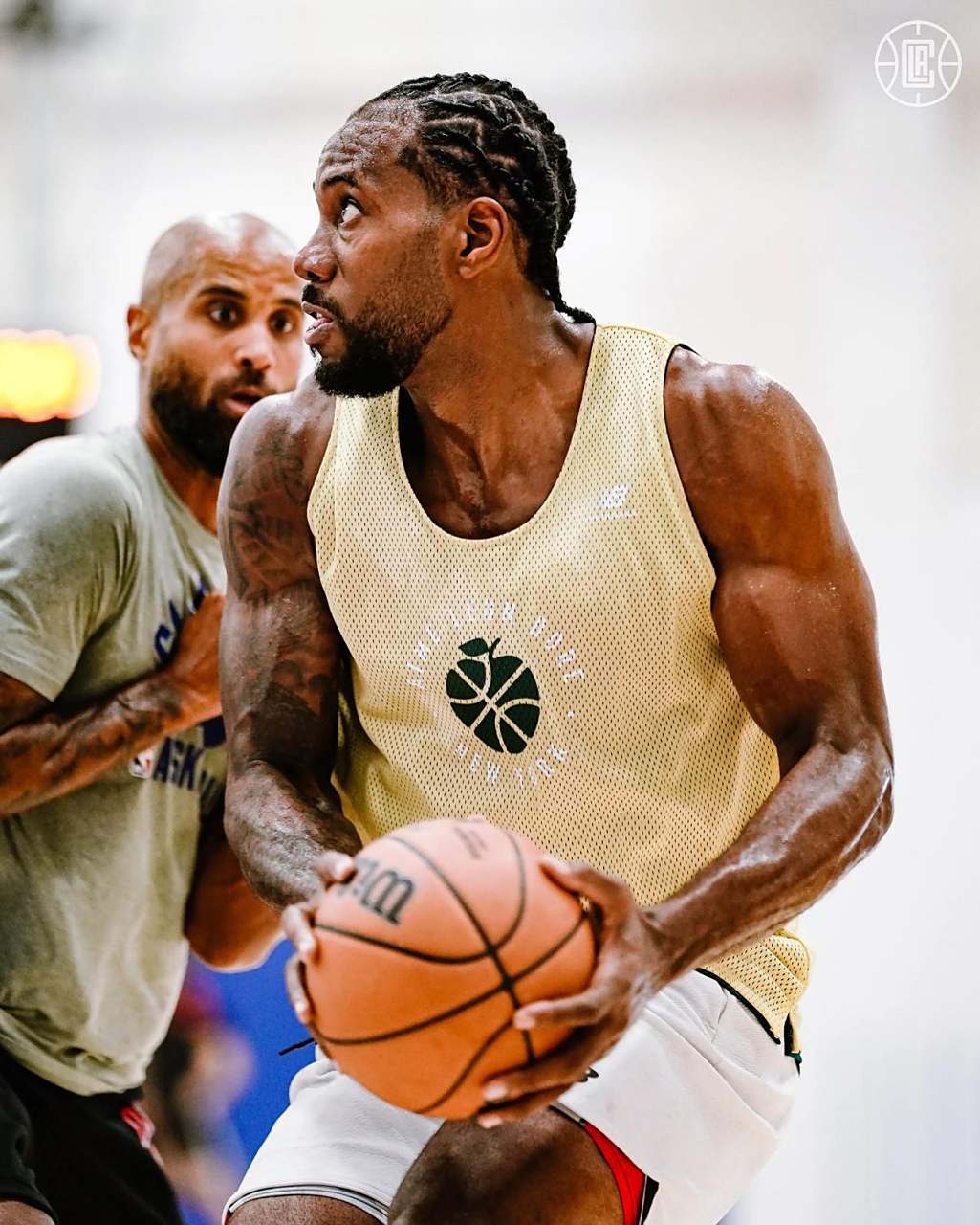 CBA球队巡礼：广东——十一冠王疯狂补强，志在东山再起（CBA巡礼：广东宏远——十一冠豪门重磅补强，剑指卷土重来）